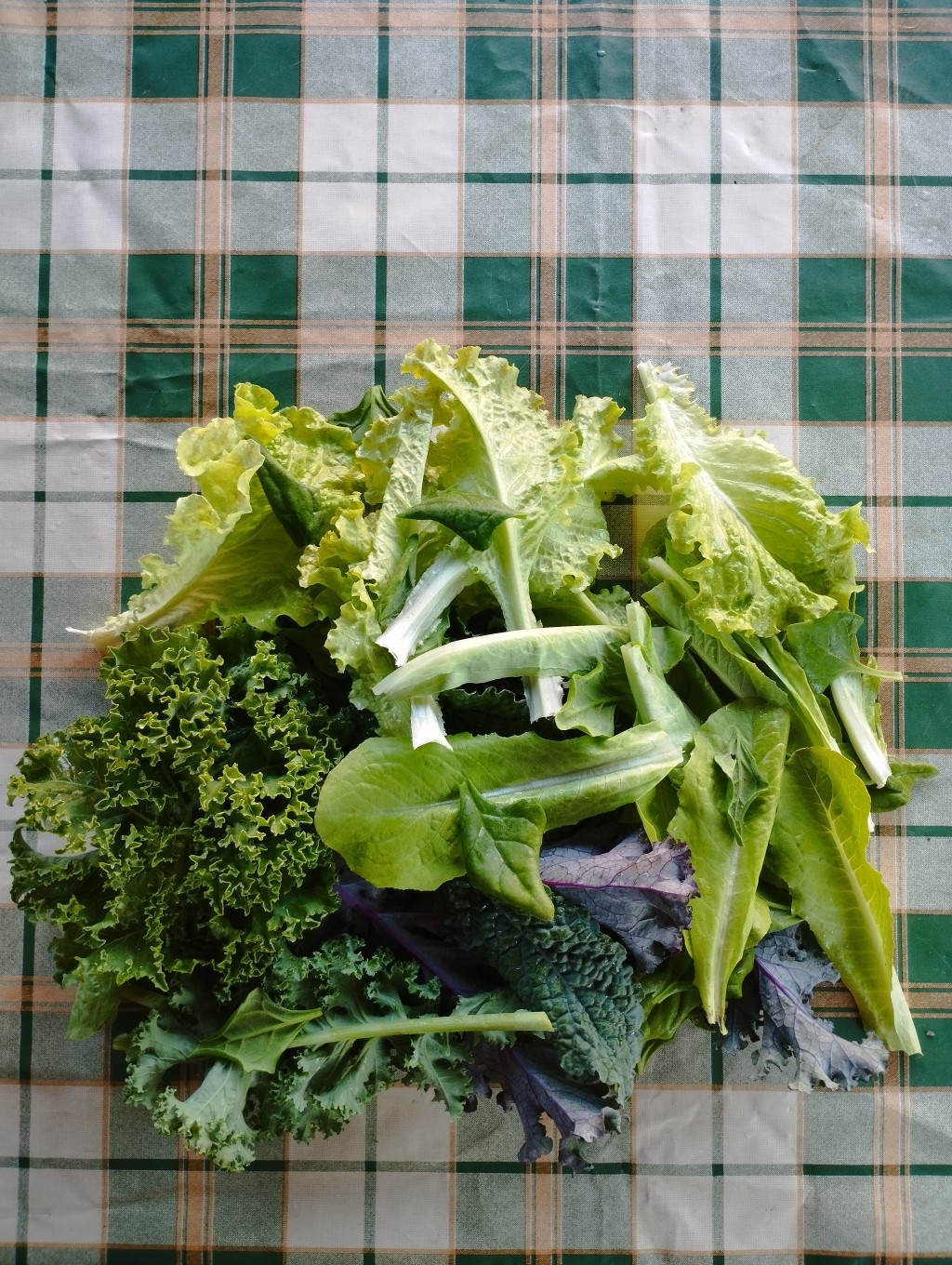 Saláta mix -200 g